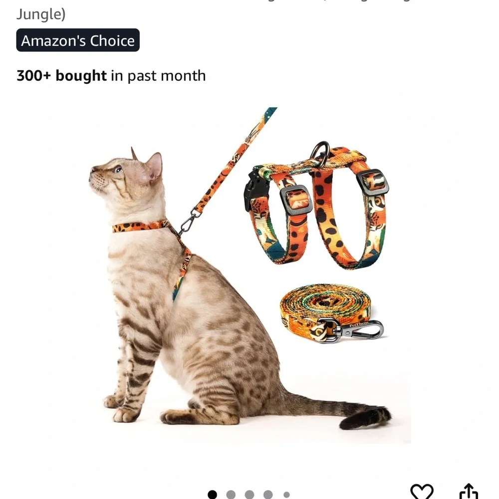 Colorful Cat Leash