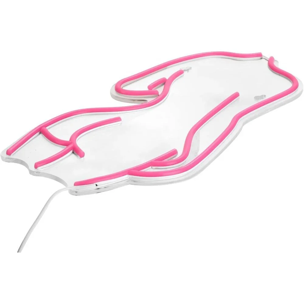 Lady Pink2 Back Neon Signs Led Night Light Usb Connected Decorative Sign Bedroom