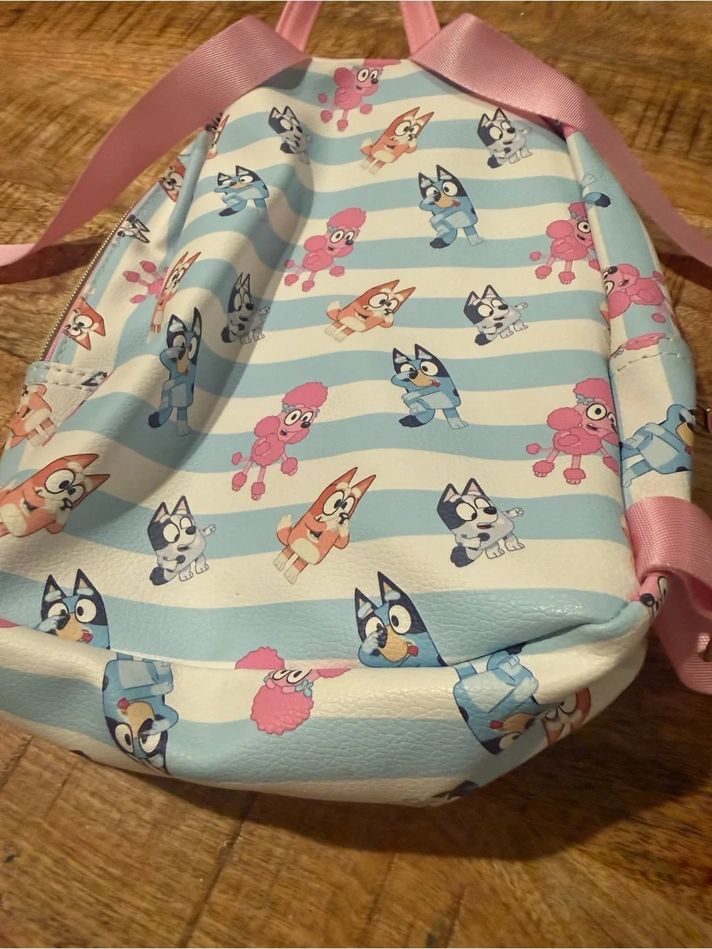 N/A backpack sb friends