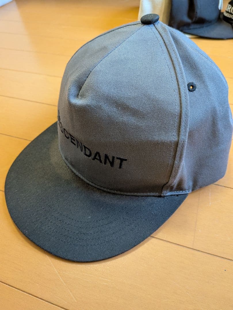 DESCENDANT Gray Snapback Cap