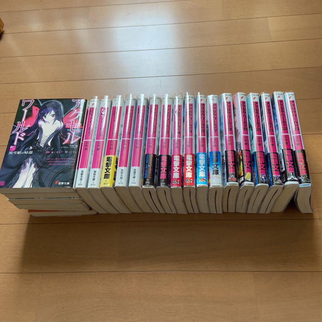 Accel World 1-23