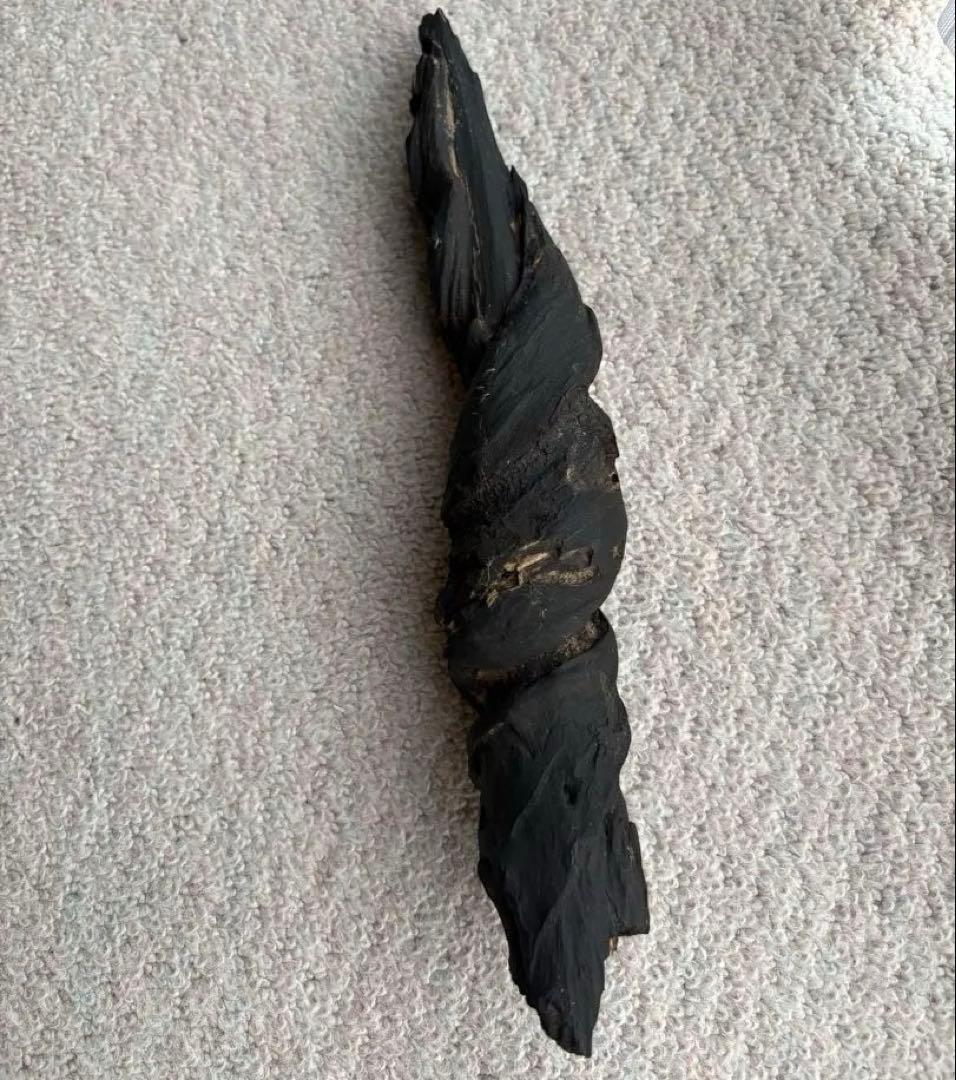 Black driftwood (boiled and water-treated) twisted shape