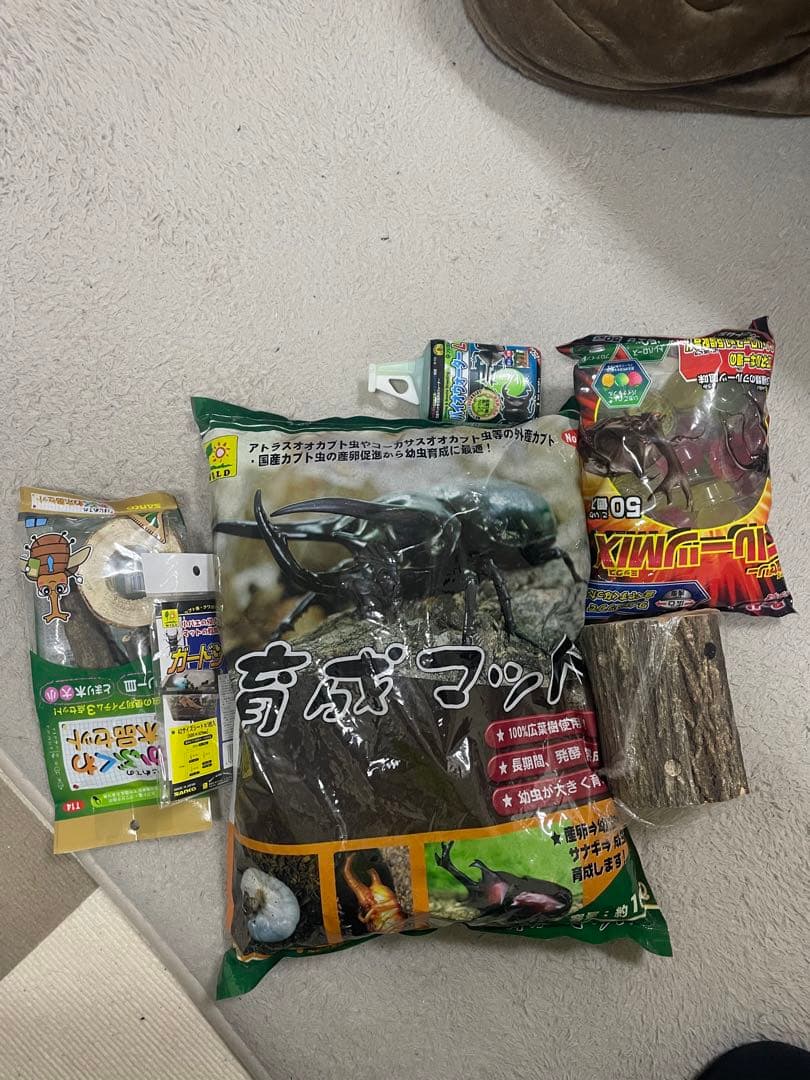 Rhinoceros Beetle Breeding Kit